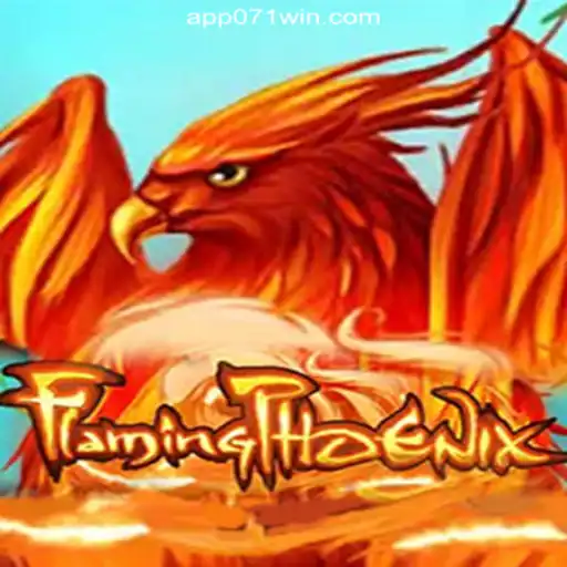 FlamingPhoenix: Soaring High on the 071win.COM Platform