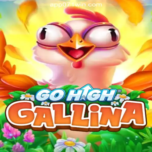 Exploring the World of GoHighGallina: An In-Depth Look